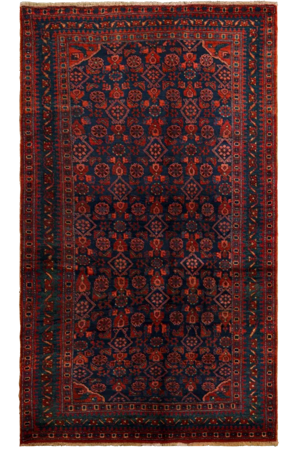Rug 71163
