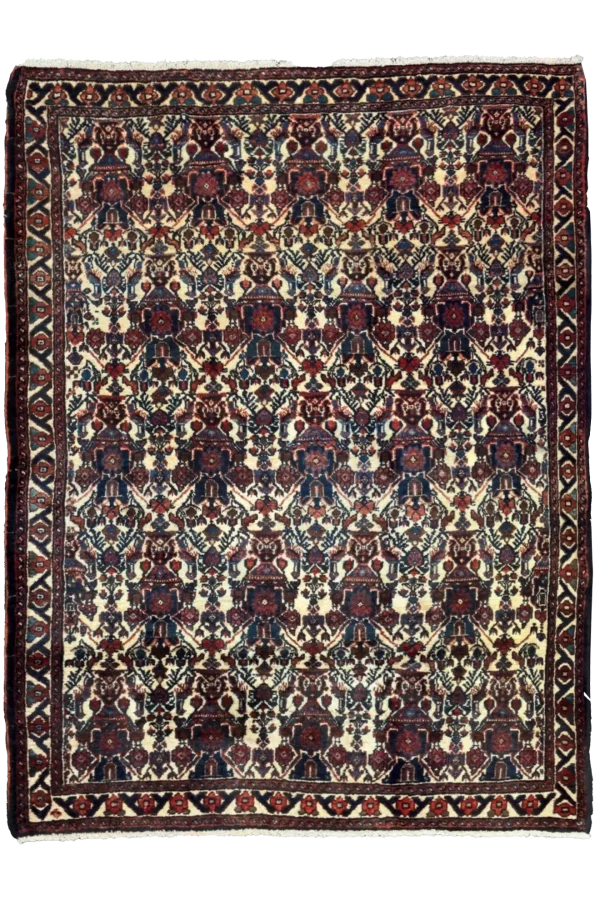 Rug 71562