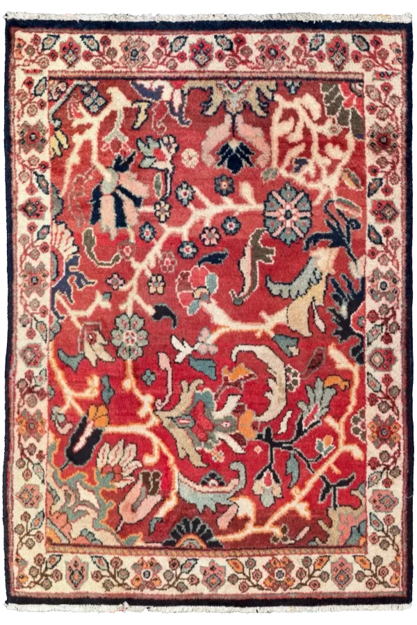 Rug 72175