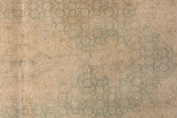 Persian Tabriz Area Rugs Circa 1880 - Transitional Design - 16126 - Image 7