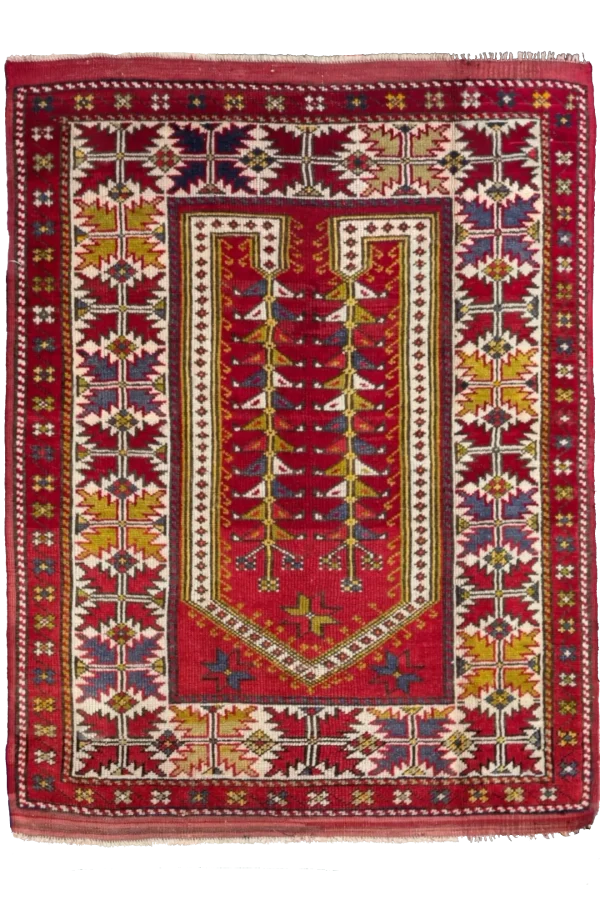 Rug 68904