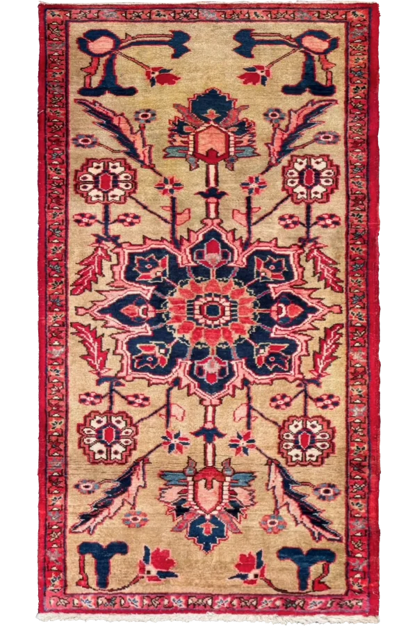 Rug 73401