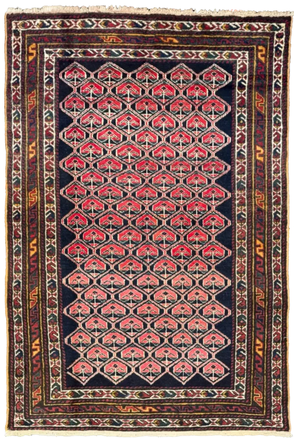Rug 72582