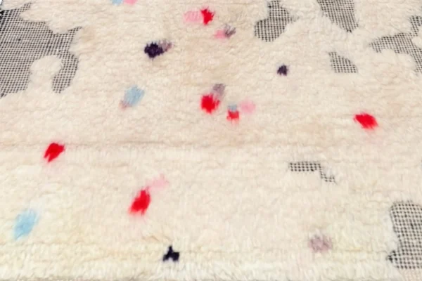 Rug 93599 - Image 5