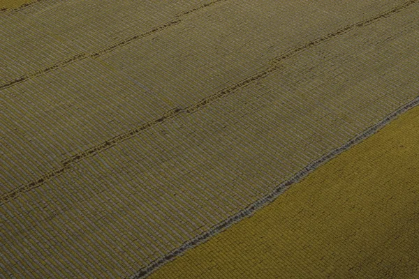 Rug 93780 - Image 8