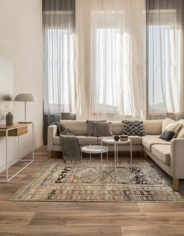 Rug 97747 - Image 2