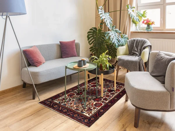 Rug 97419 - Image 2