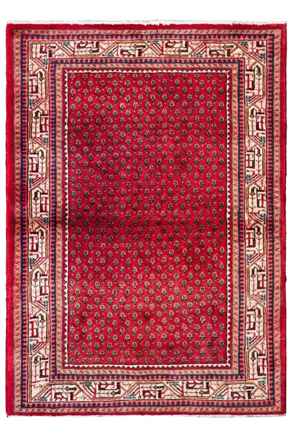 Rug 98254