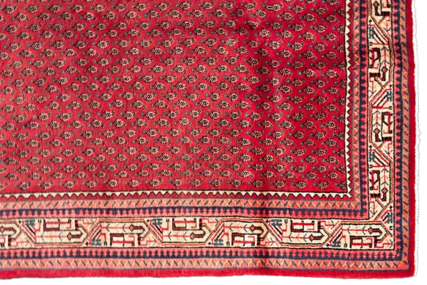 Rug 98252 - Image 6