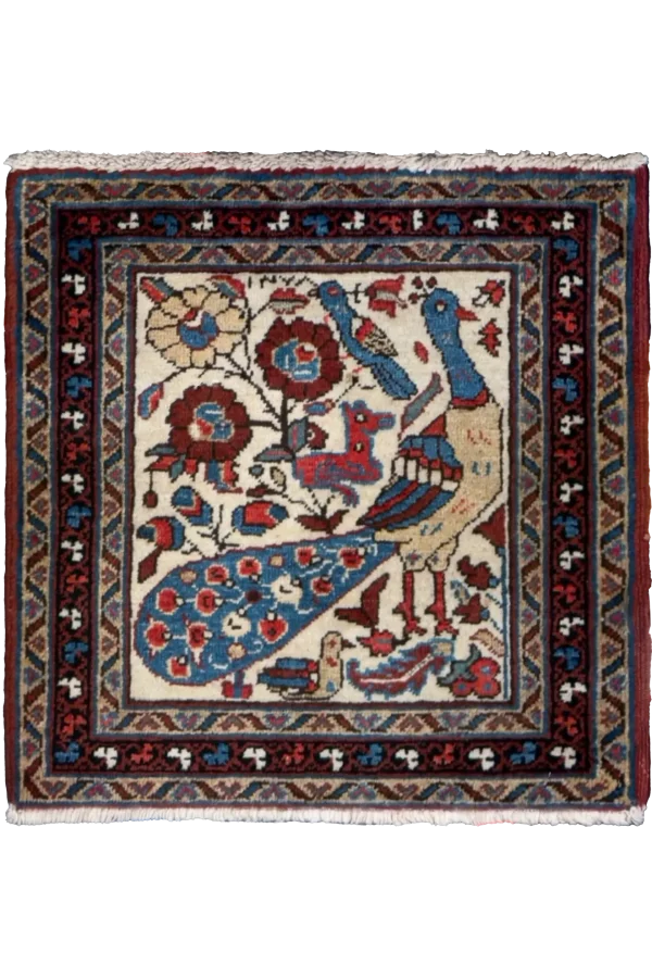 Rug 72305