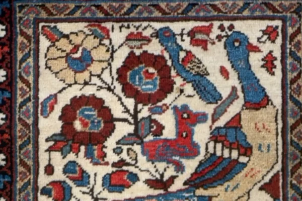 Rug 72305 - Image 7