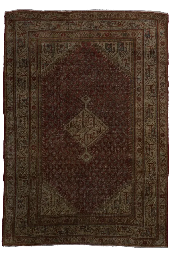 Rug 97061